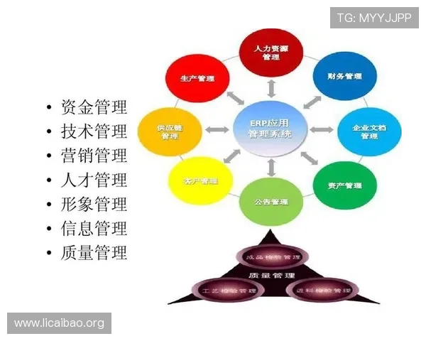 bwin必赢体育平台用户安全保障体系建设全面升级确保资金无忧